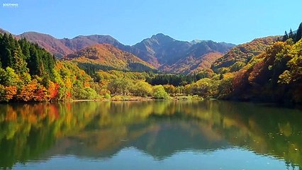 영월출장안마 -후불100%ョØ1ØM2997M5327｛카톡MGM1472｝-영월전지역출장안마 영월오피걸 영월출장마사지 영월출장안마 영월출장아로마 영월출장안마후기≄≢≣영월출장샵풀코스예약