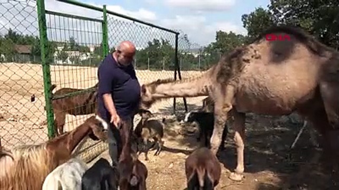 Doğa sevgisi orman yaptırdı