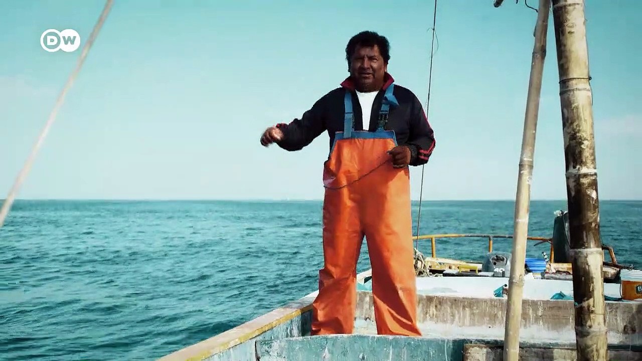 Alexander von Humboldt in Amerika (4/6) | Projekt Zukunft