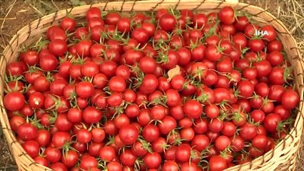 Ankaralılardan organik ürünlere yoğun ilgi