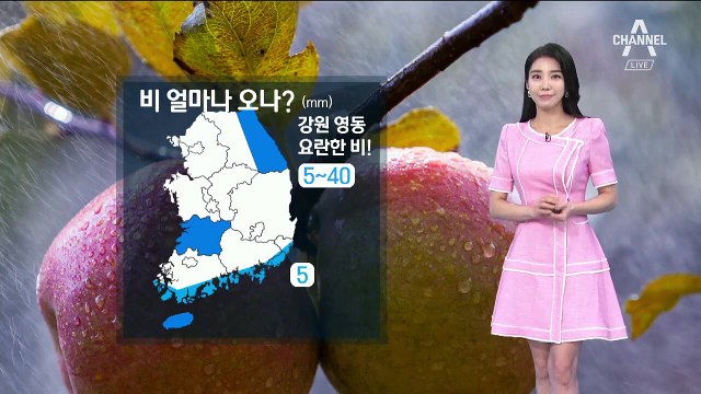 [날씨]내일 내륙 곳곳 비 소식…한낮 서울 30도·광주 29도