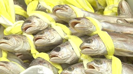 추석 물가 안정 위해 수산물 6천9백 톤 방출 / YTN