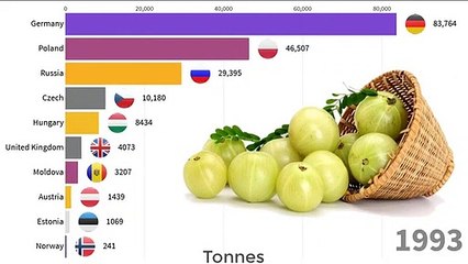 Top Largest Gooseberries Producer Countries