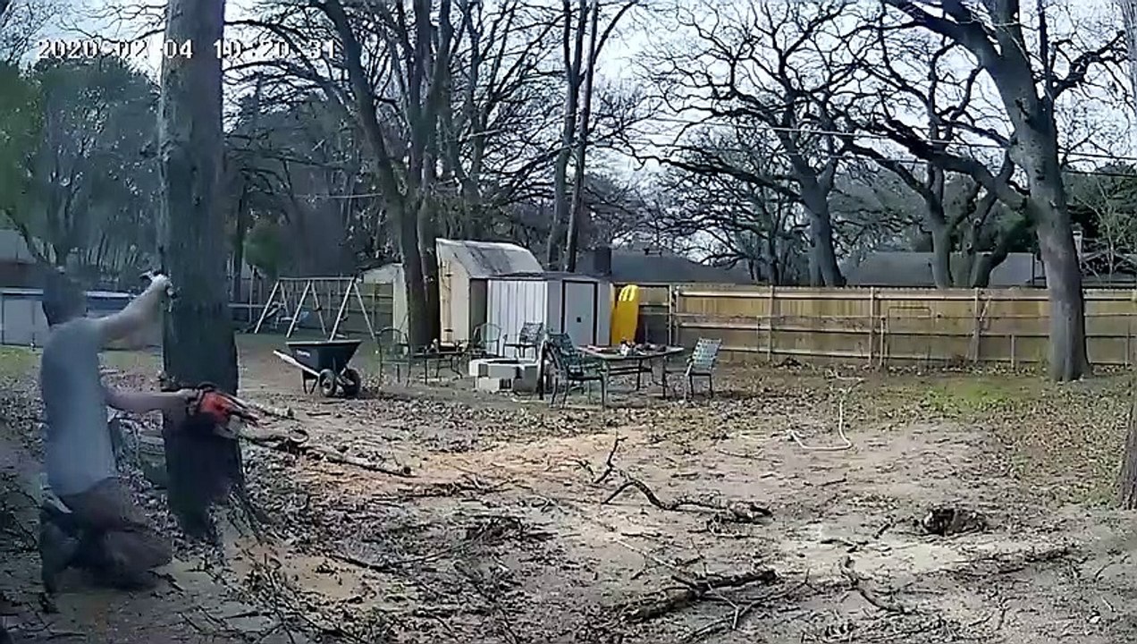 Tree Falls on House in Felling Fail