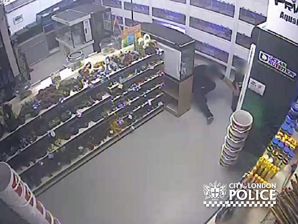Conman caught faking fall in Leeds pet shop on CCTV