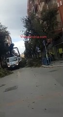 Скачать видео: Andria: lavori di potatura in Viale Roma, altezza viale Crispi - 5 febbraio 2020