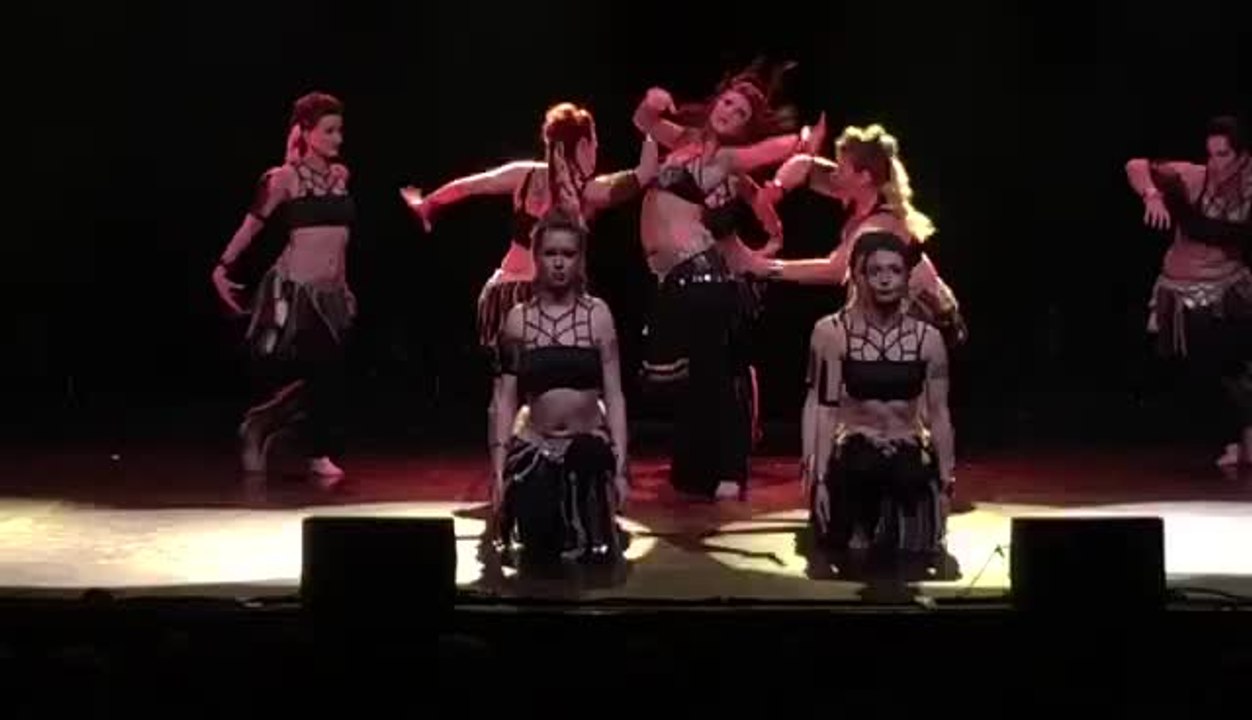 Festival Troyes Danse Project à Troyes