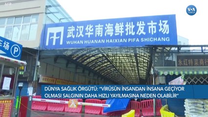 Corona Virüsü Endişesi