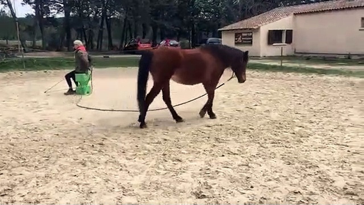 tu me fais tourner la tete au pas stéphanie et Cobi