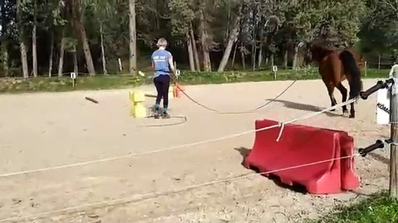 Avec le temps à l'obstacle Stéphanie et Cobi