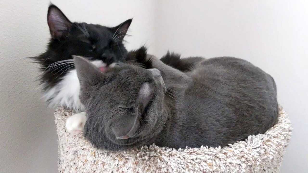 Yuki & Joey