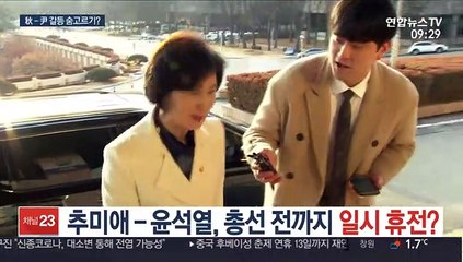 추미애-윤석열 갈등, 총선 전까지 '일시 휴전'?