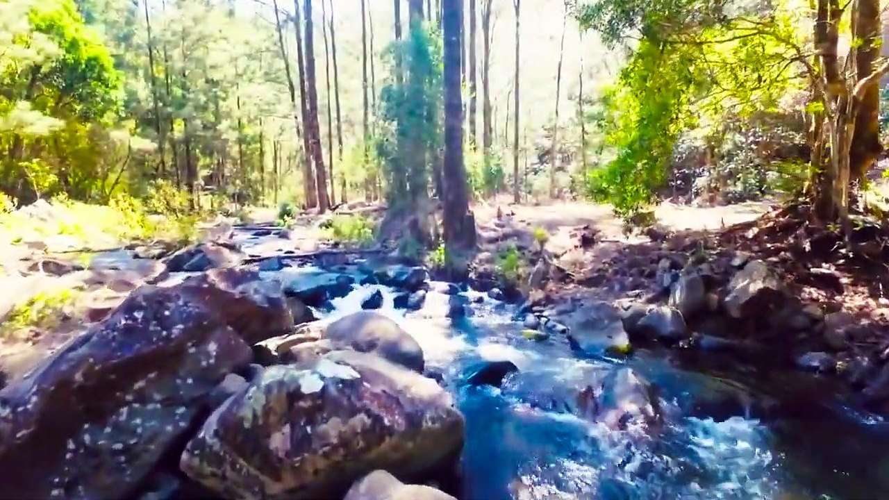 Nirvana Retreat - The one stop solution for those who wants to be in nature's lap.