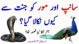 saap_aur_mor_ko_jannat_se_kyun_nikala_gaya_|_Shaitan_ka_waqia_|_#islamicwaqiat_|_Islamic_Video|Urdu(360p)