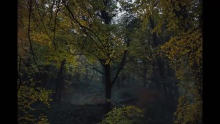 GRETEL & HANSEL Official Trailer (2020) - Dailymotion