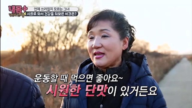 나쁜x 콜레스테롤↓ 해주는 사탕수수 속 ‘폴리코사놀’