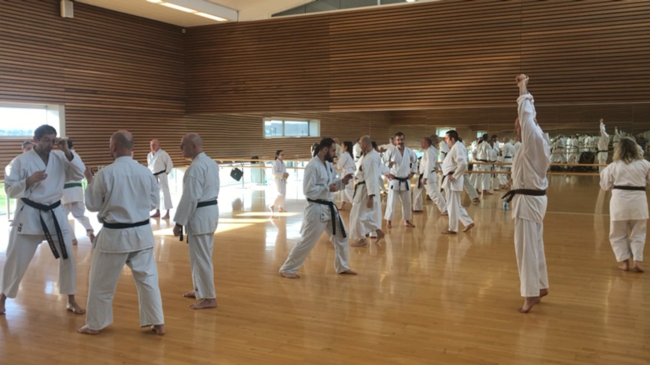 Stage de karaté avec un expert fédéral japonais