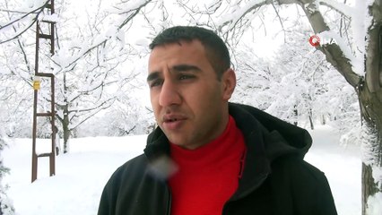 - Ahlat'ta aşırı kar yağışı ağaçları devirdi