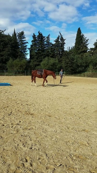 avec le temps
