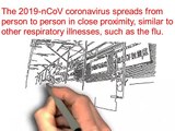 how does coronavirus spreading|what is coronavirus