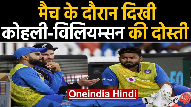 India vs New Zealand, 5th T20I : Virat Kohli and Kane Williamson bromance wins heart|वनइंडिया हिंदी