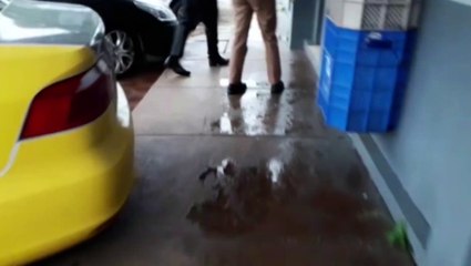 Caso de embriaguez ao volante é encaminhado para a 15ª SDP