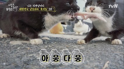 야야야 좋은 말로 할 때 놔라아-!