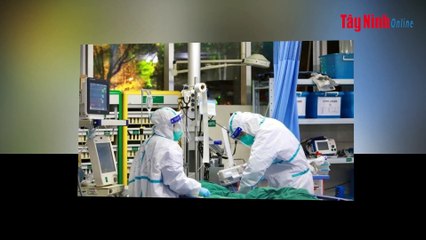 Video Cập nhật tình hình dịch cúm virus viêm phổi Vũ Hán