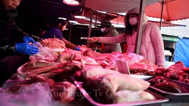 What is Coronavirus? | The Truth About The Coronavirus | Corona Virus Symptoms Preventions