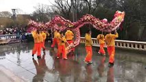 Chinese New Year celebrations in Sunderland