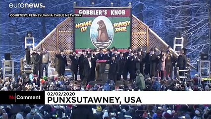 Le Jour de la marmotte : l'hiver sera-t-il long ?