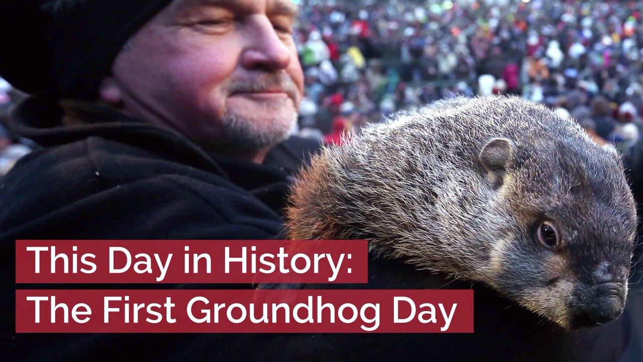 It's Groundhog Day
