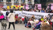 Miles de personas se manifiestan en España por los perros de caza