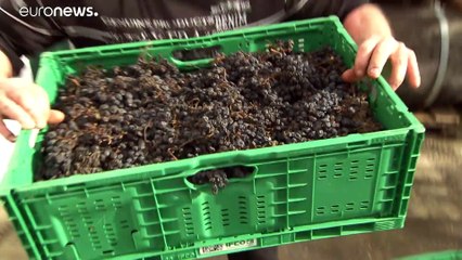 "Sweet Brexit" - Dessertwein soll Exportumsatz retten