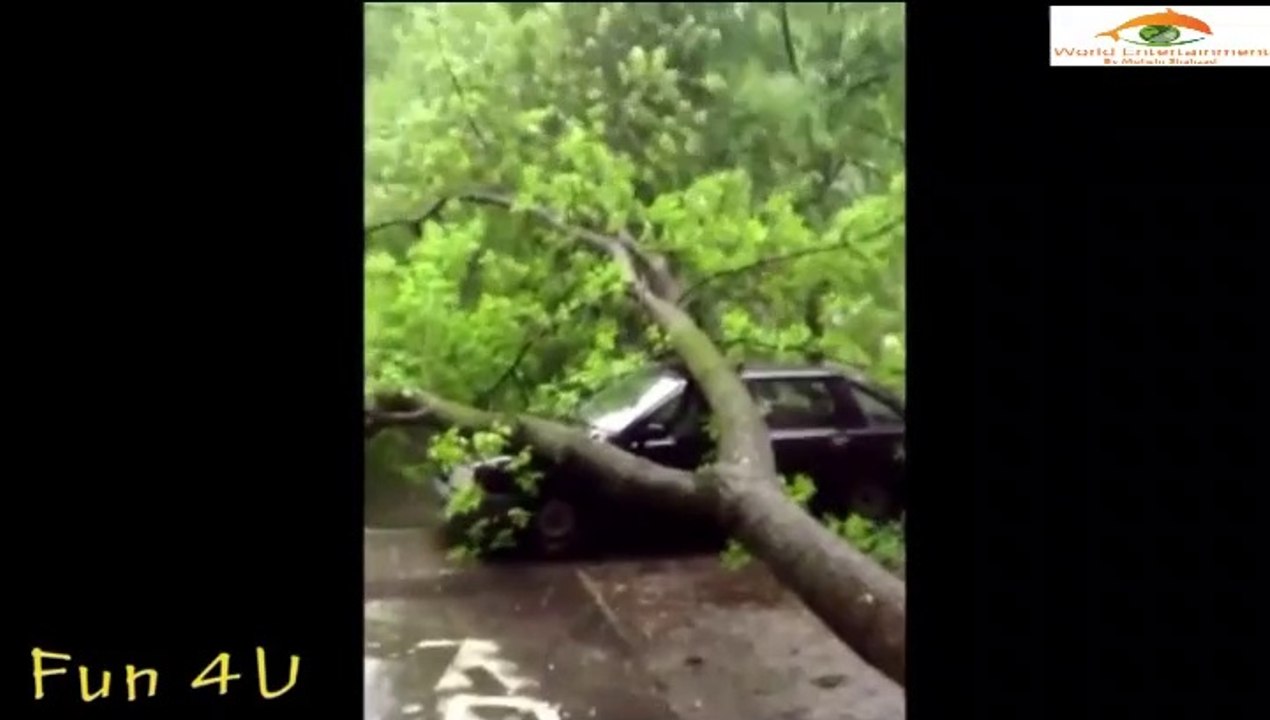 Best Instant Karma _ Stupid People Doing Stupid Things Win_Fail