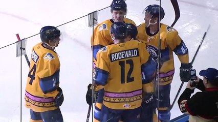 Springfield Thunderbirds vs Hartford Wolf Packs Ice-O-Topes Night 2.1.20 Highlights
