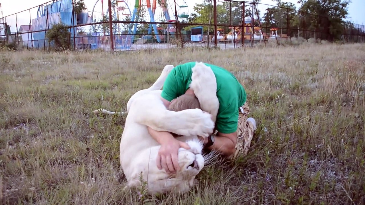 Il fait un gros calin à sa lionne de compagnie