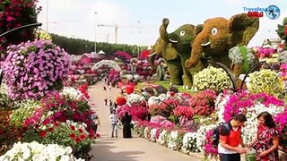 Dubai Miracle Garden park