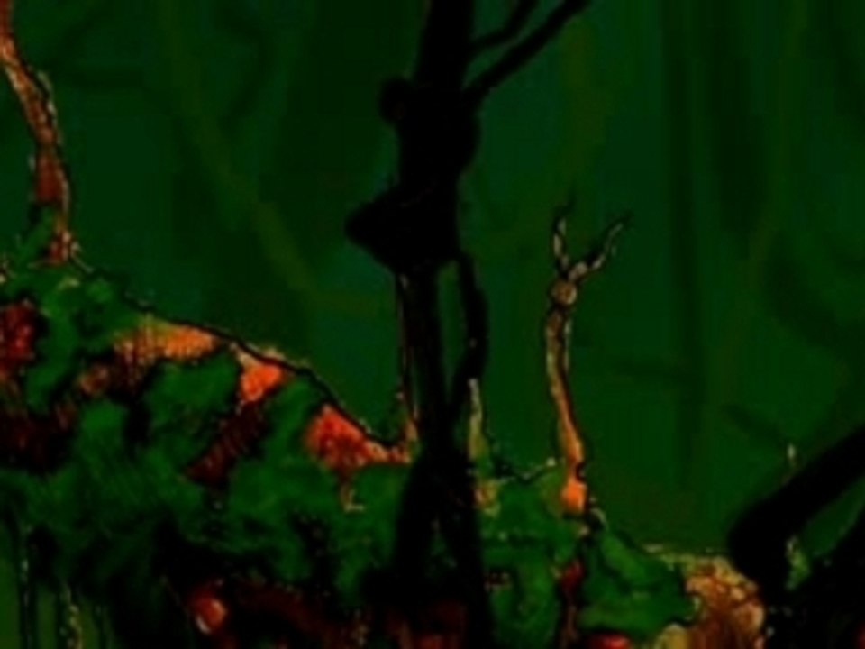 JuNgle