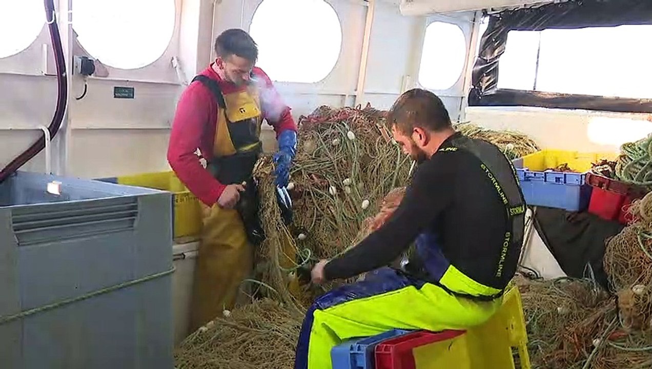 Brexit: Französische Fischer dürfen nicht mehr fischen