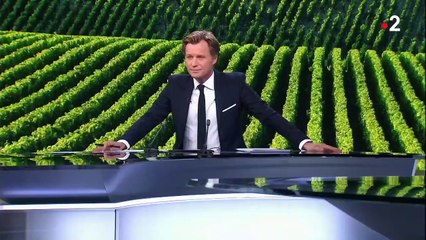 Vin : le chablis bientôt exclu de l'appellation Bourgogne ?