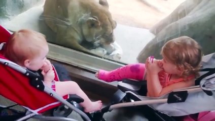 Funny_Baby_and_Animals_at_the_Zoo__-_Funny_Baby_Fails/// d.s khan videos//