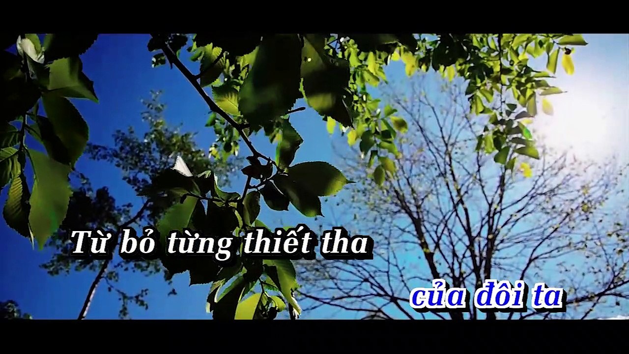 tu bo - khac viet-nct