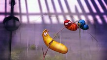 LARVA SEASON1,TYPHOON1, CRAZY CARTOONS, PLEASANT EPISODE