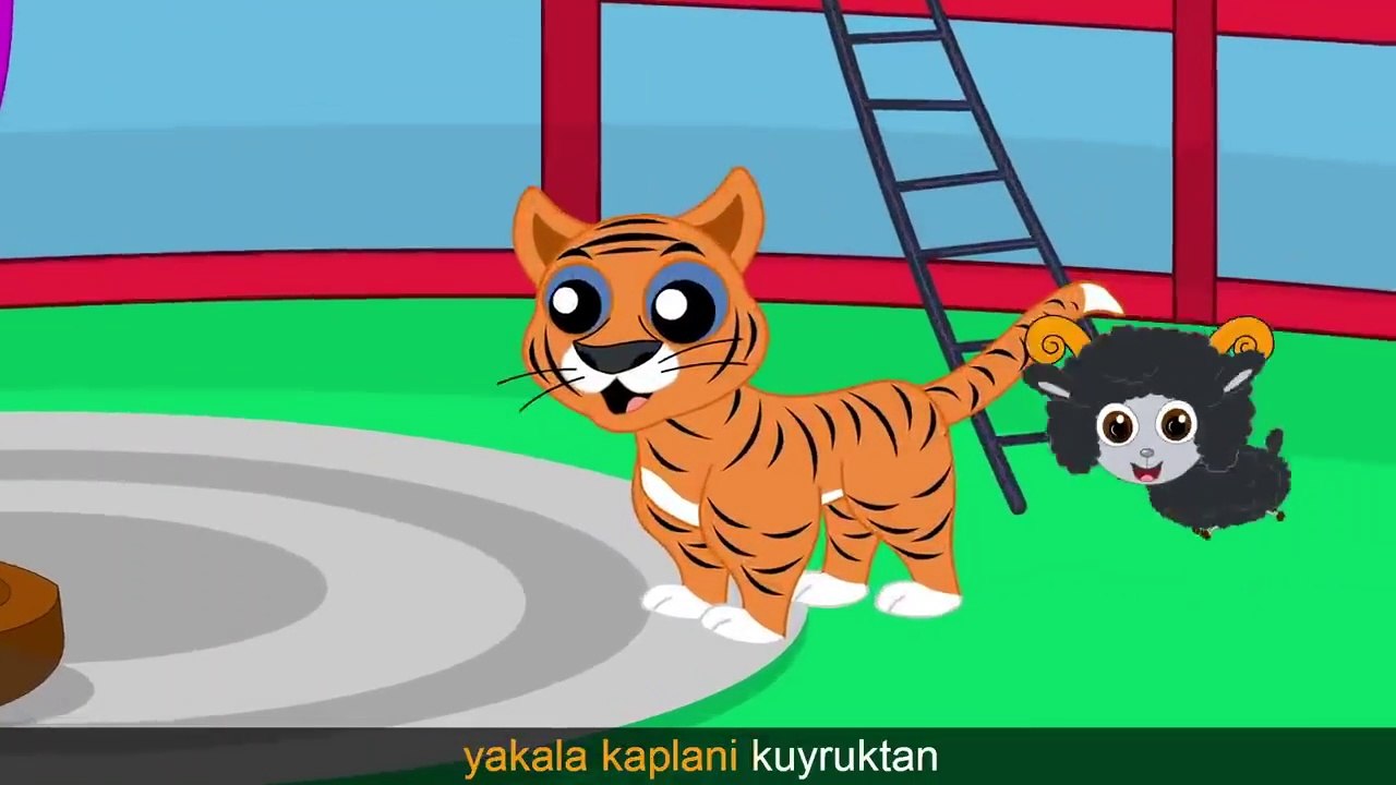 O Piti Piti Yakala Kaplani Kuyruktan - Çocuk İçin Eğitici Eğlenceli