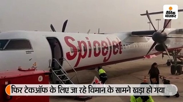 एयरपोर्ट के रन-वे पर पहुंचा युवक, पत्थर मारकर हेलिकॉप्टर में तोड़फोड़ की; फिर टेकऑफ के लिए जा रहे विमान के सामने खड़ा हो गया