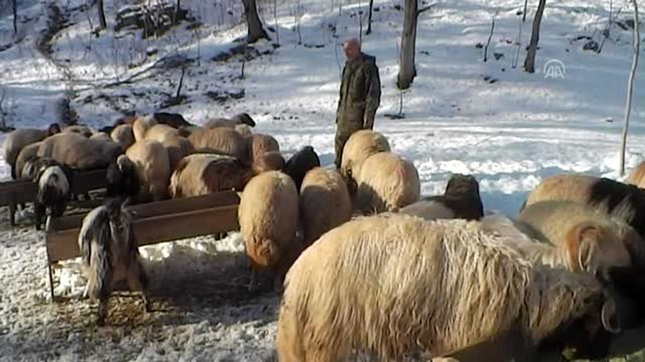 Bitlis'te kış
