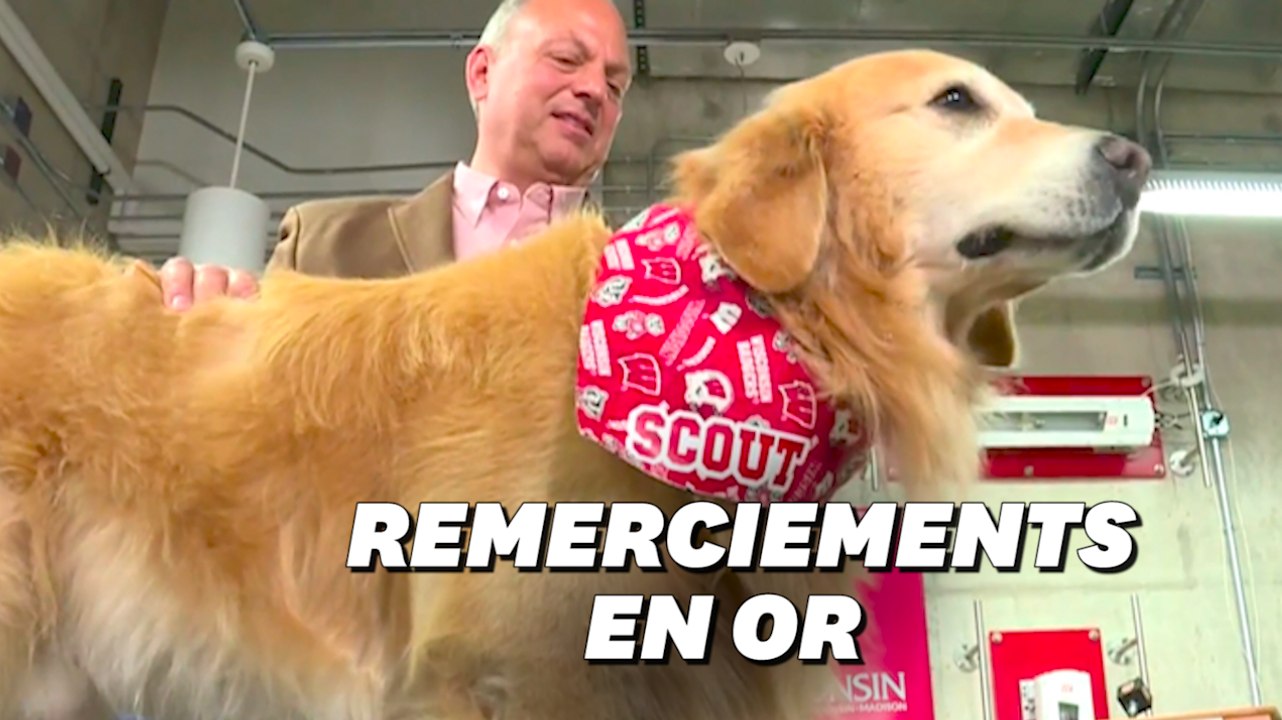 Super Bowl: il achète une pub à 6 millions de dollars pour remercier d'avoir sauvé son chien
