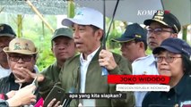 Jokowi Siapkan 92 Ribu Bibit Tanaman, Cegah Longsor