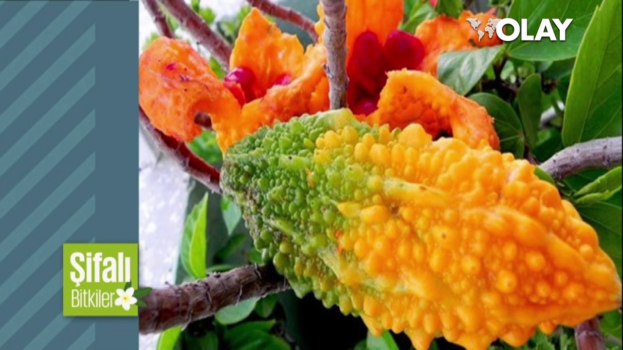 Faydaları saymakla bitmiyor! 41 gün boyunca yerseniz....